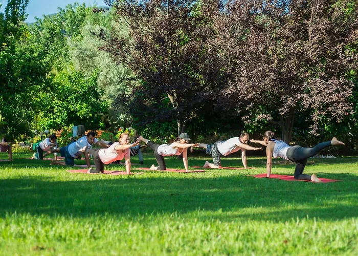 Hotel Naturmed Thermal Springs And Health Center