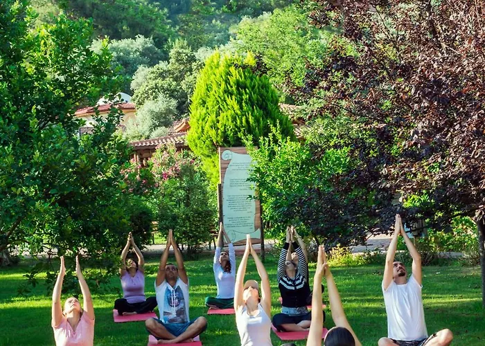 Naturmed Thermal Springs And Health Center Hotel Kusadası