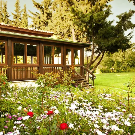 Naturmed Thermal Springs And Health Center Kusadasi