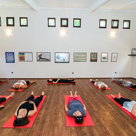 ホテル Naturmed Thermal Springs And Health Center クシャダス