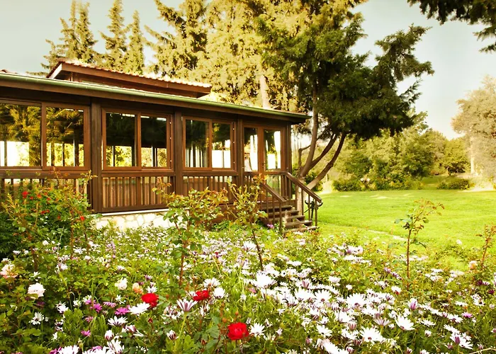Naturmed Thermal Springs And Health Center Kusadası